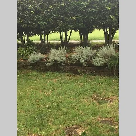 Il Poggio - San Michele